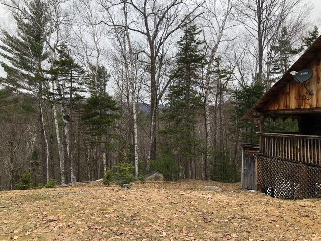 Byron Log Cabin On 7 Acres