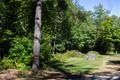 325 Acre Lot 21 Canton Point Rd.
