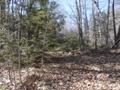 24 Acres of happiness.....!