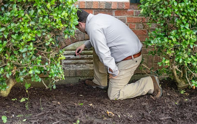 We Can Target Specific Pests Like Rodents & Wasps a pest technician inspecting the exterior of a home in valencia california