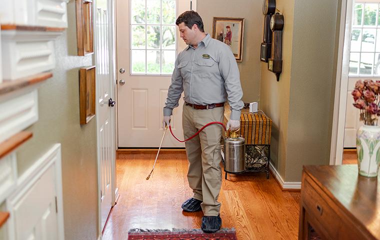We Offer Pest Control Treatments For Specific Pests a pest technician treating for pests inside of a home in santa clarita california
