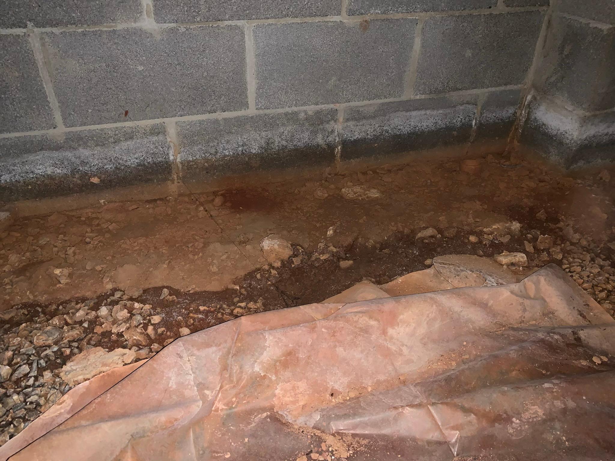 dirty damp and moldy crawl space in roanoke va