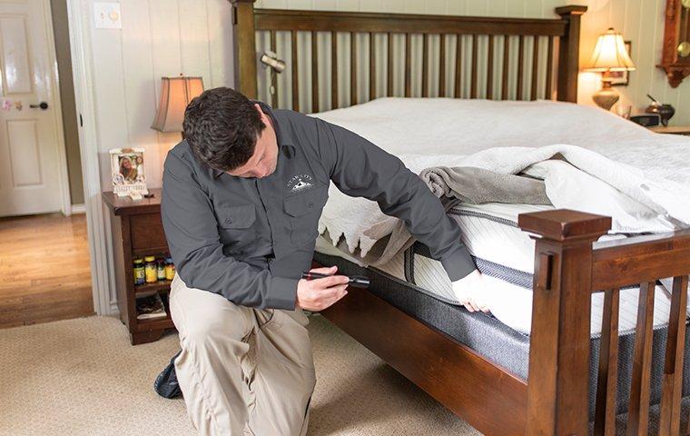 roanoke va pest control tech inspecting bed for bed bugs