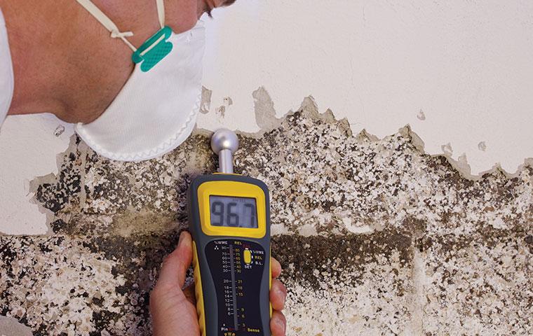 moisture control services at a home