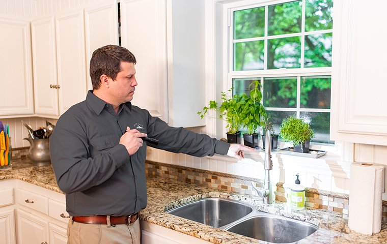 roanoke va pest control expert inspecting for pests in kitchen