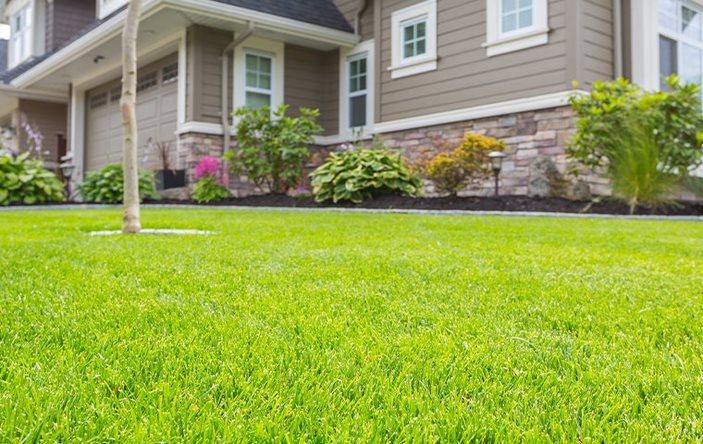 Image of healthy lawn grass by a house.