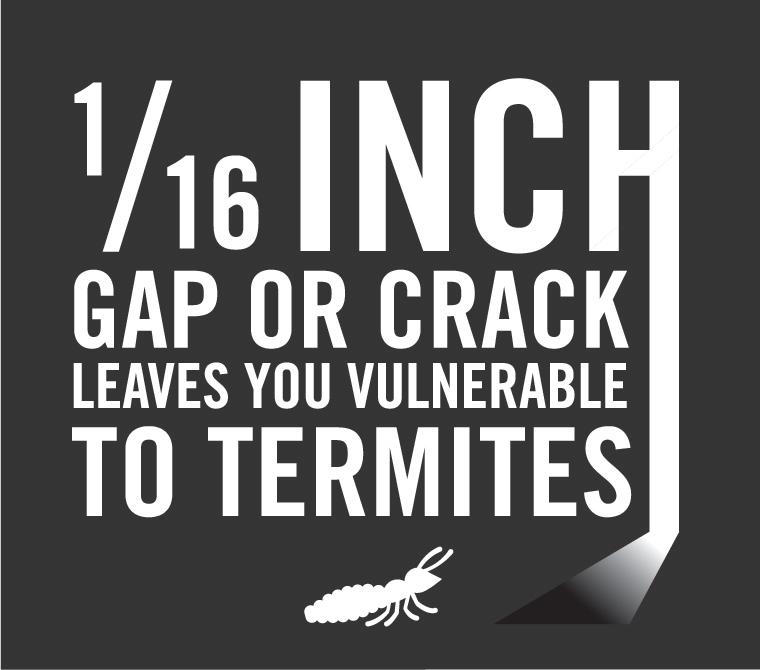 ensec termite infographic