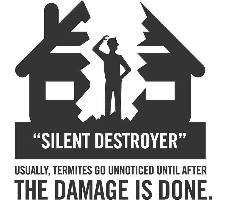 ensec termite infographic