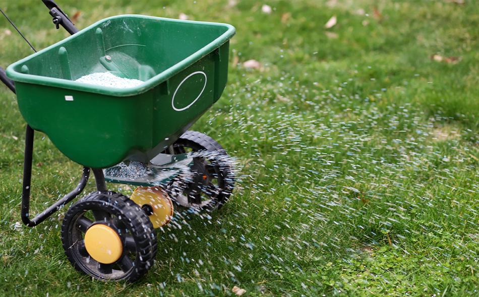 fertilizer being applied to lawn