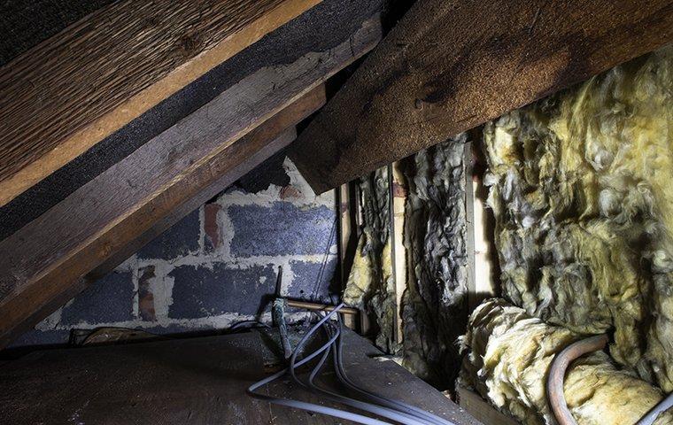 a small attic crawlspace