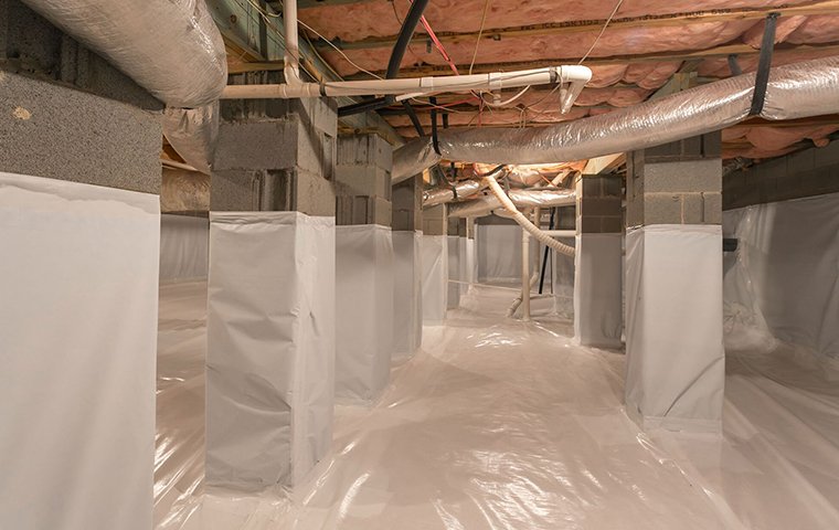 With Our Help Mold Won't Be Able To Survive moisture in basement inside a home in richland county south carolina