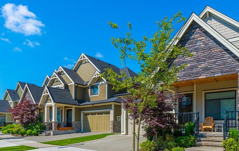 street view of homes in delmar new york
