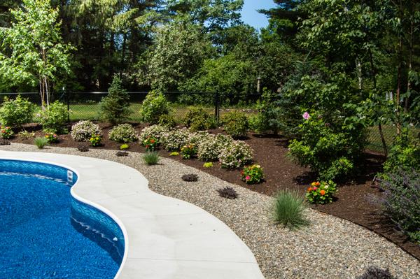 The Backyard Oasis