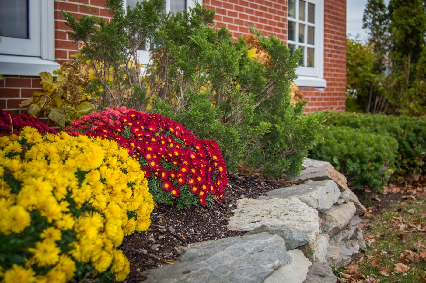 Skowhegan Savings Bank Ops Project Gallery Lynch Landscaping