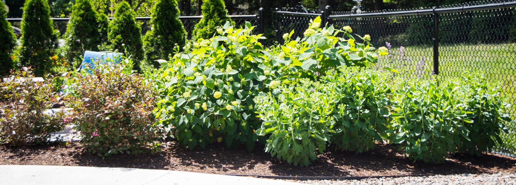 Lynch Landscaping in Waterville & Oakland Patios, Landscaping, and