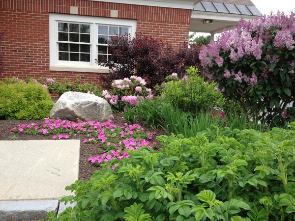 Softscape Landscaping Services in Central Maine - Lynch Landscaping