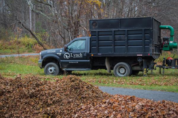 Fall leaf cleanup