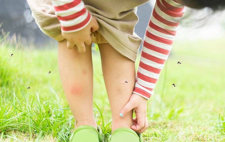 mosquitoes around children