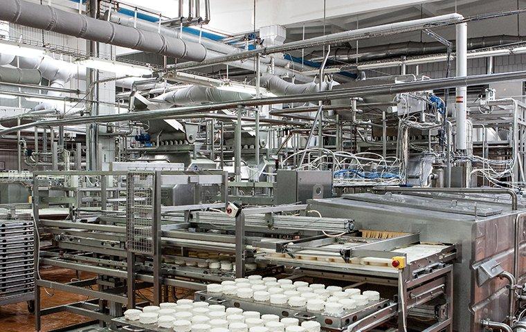 inside of a food processing plant