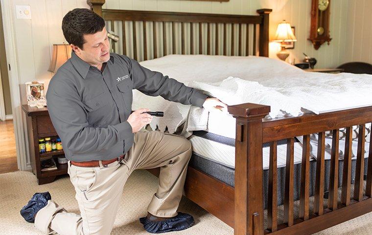 a pest control service technician inspecting a bed for bed bugs inside of a home