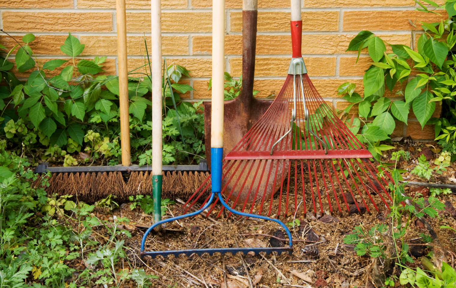 lawn care service tools