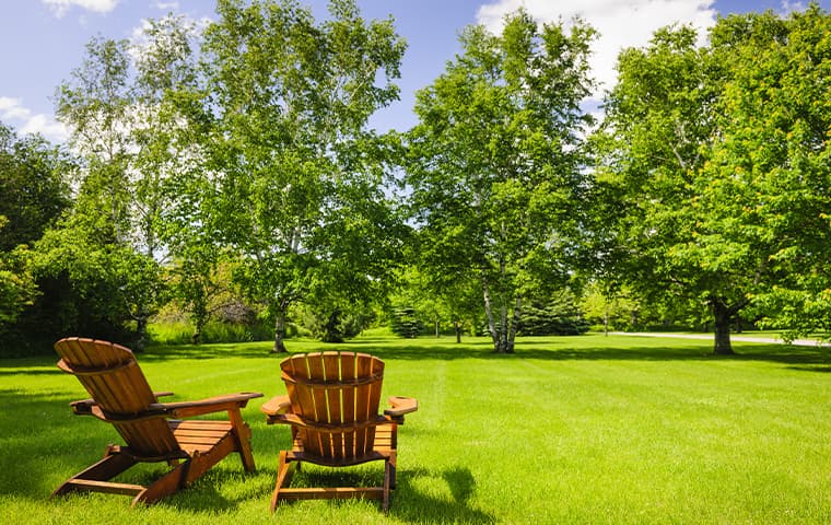 two chairs overlooking a lawn