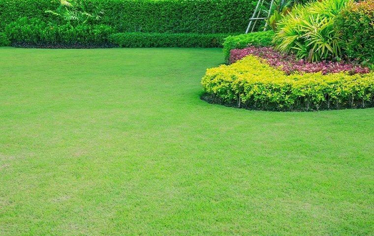 lawn care services for terrell north carolina homes