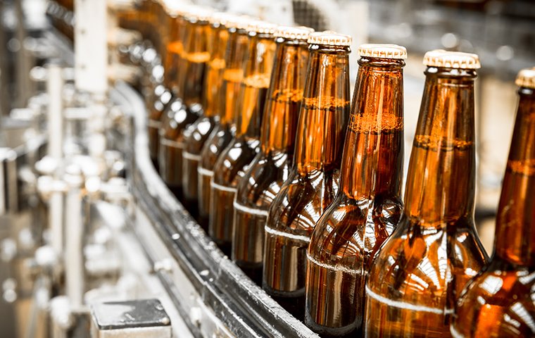 interior of a beer brewery in hendersonville, nc