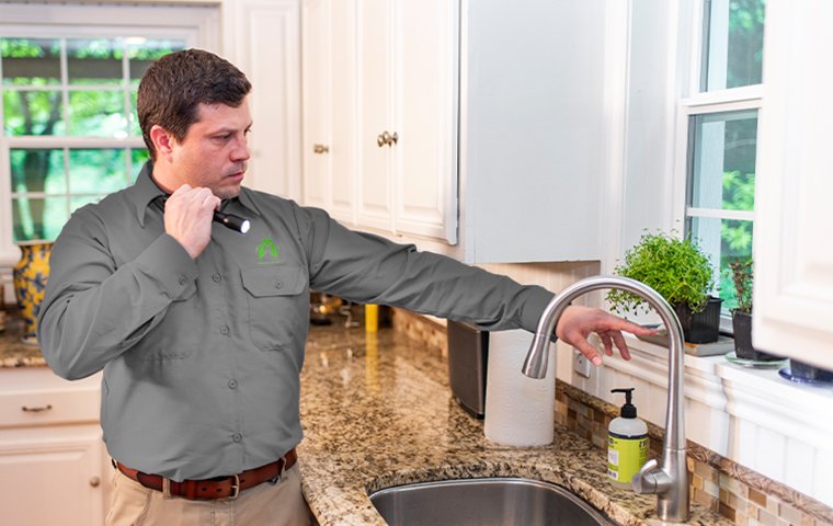 a pest expert inspecting a kitchen inside a home in hendersonville north carolina