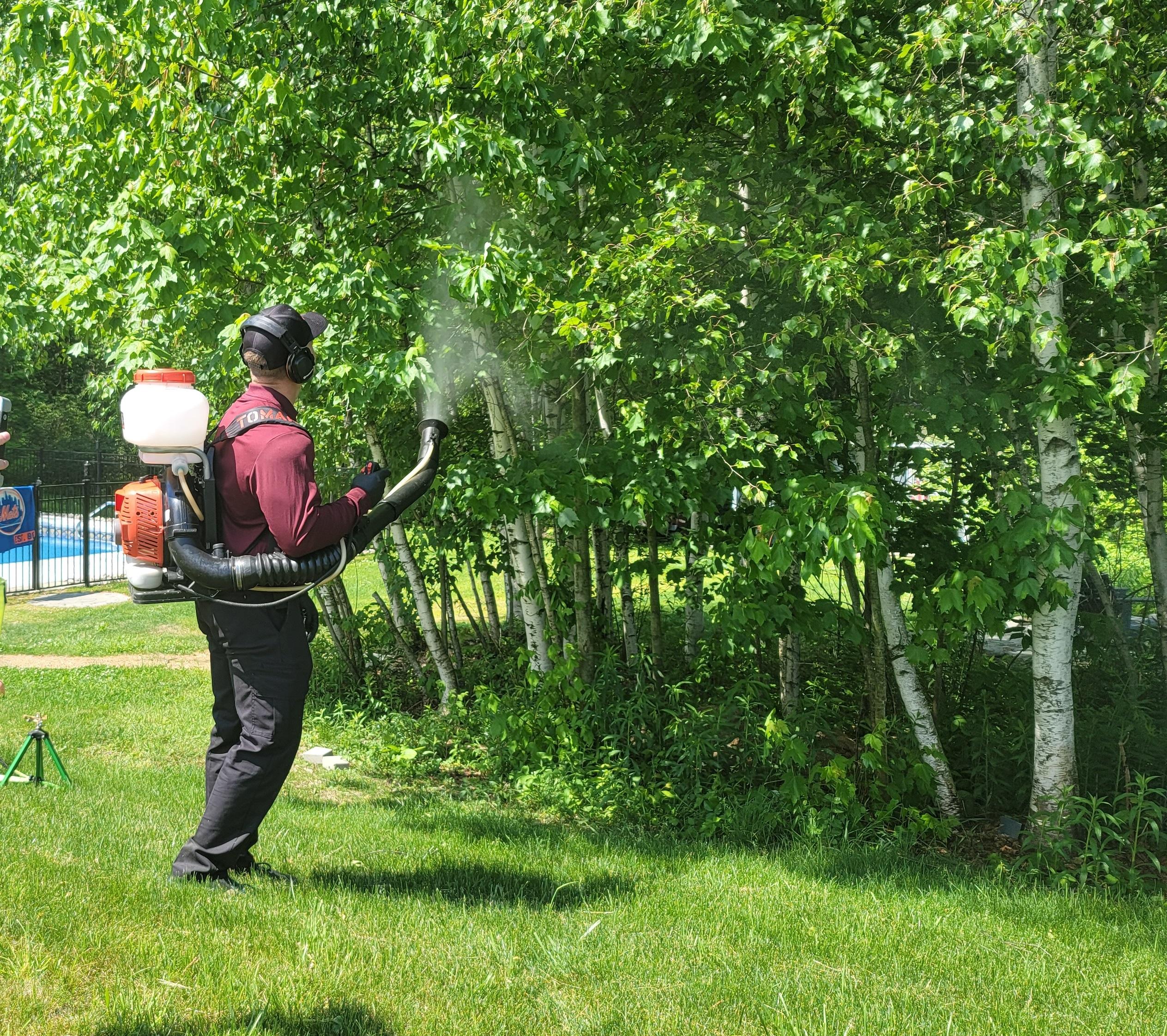 An Albany, NY pest control technician treating a yard for mosquitoes and ticks