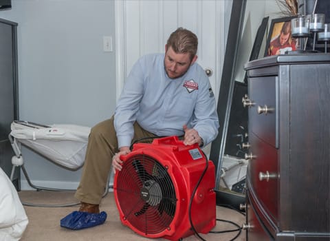 bed bug heat treatment in an albany home