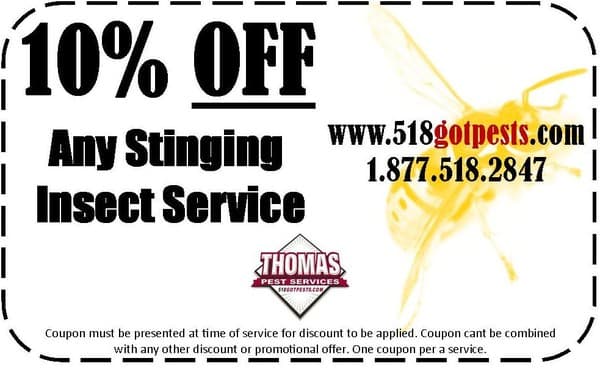Save 10% On Stinging Insects 10% off stinging insect service