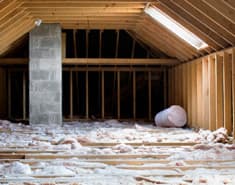 Pests in the Attic: How They Get There, What to Do About It