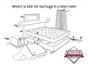 Learn How To Check Your Hotel Room For Bed Bugs common bed bug hiding spots in hotel