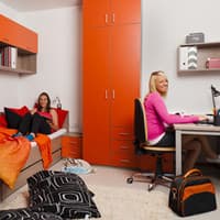 Don't Share Your Dorm With Bed Bugs College Dorm Room