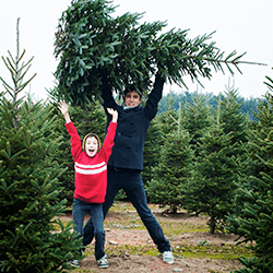 Learn How To Keep Pests Out Of Your Home This Christmas Season father and son picking out christmas tree