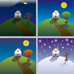 Protect Your Home From Pest All Year Long With Thomas Pest Services illustration of four seasons