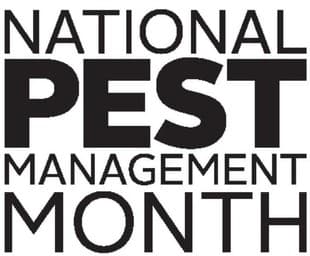 April Is National Pest Management Month national pest management month