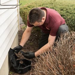 Learn More About Rodent Control Solutions From Thomas Pest Services wildlife technician inspecting rodent bait station