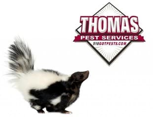 Learn More About Our Wildlife Control Services Clifton Park NY Animal Removal