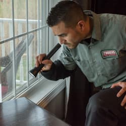 Learn More About Residential Pest Control Services in Albany residential pest inspection