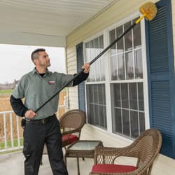 Learn More About Pest Control Services In Albany cleaning spider webs