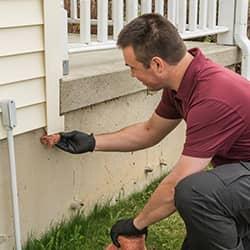Learn More About Professional Wildlife Control technician pest-proofing new york home