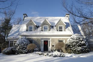 Pests Can Still Enter Your Home In The Winter winter home in albany ny