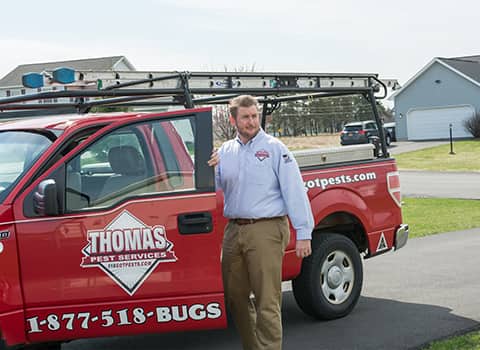 Stillwater NY Pest Control | Exterminators In Stillwater NY