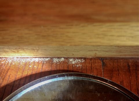 carpenter ant frass in a home