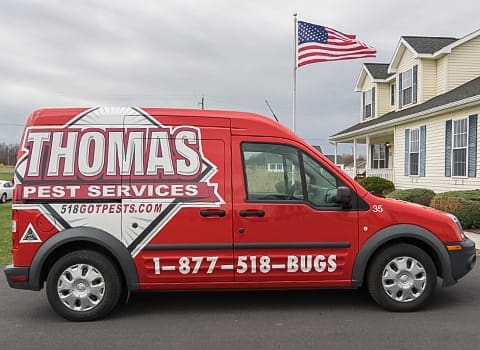 Residential Pest Control Albany Ny Ants Spiders Roaches More