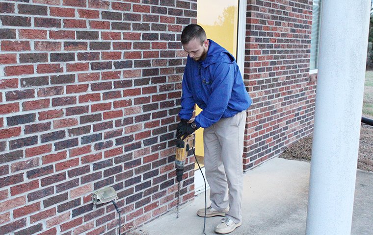 Termite Inspection