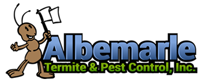 Pest Control Essex