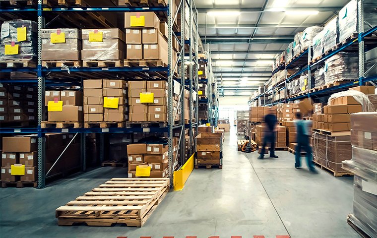 Get Rid Of Pests In Your Warehouse Building inside view of a virginia beach warehouse filled with cardboard boxes